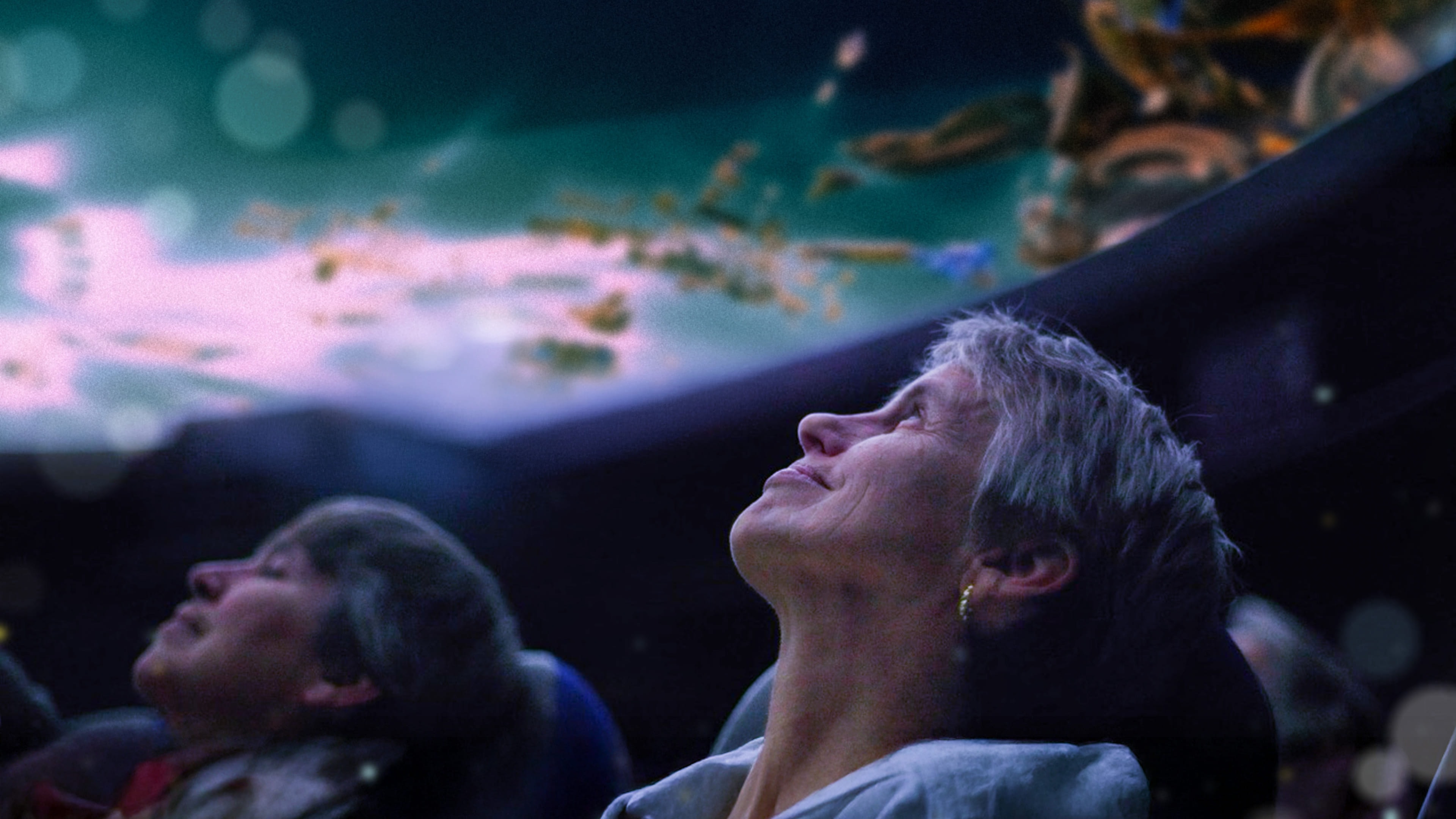 Bea_gallery_master_5_4k