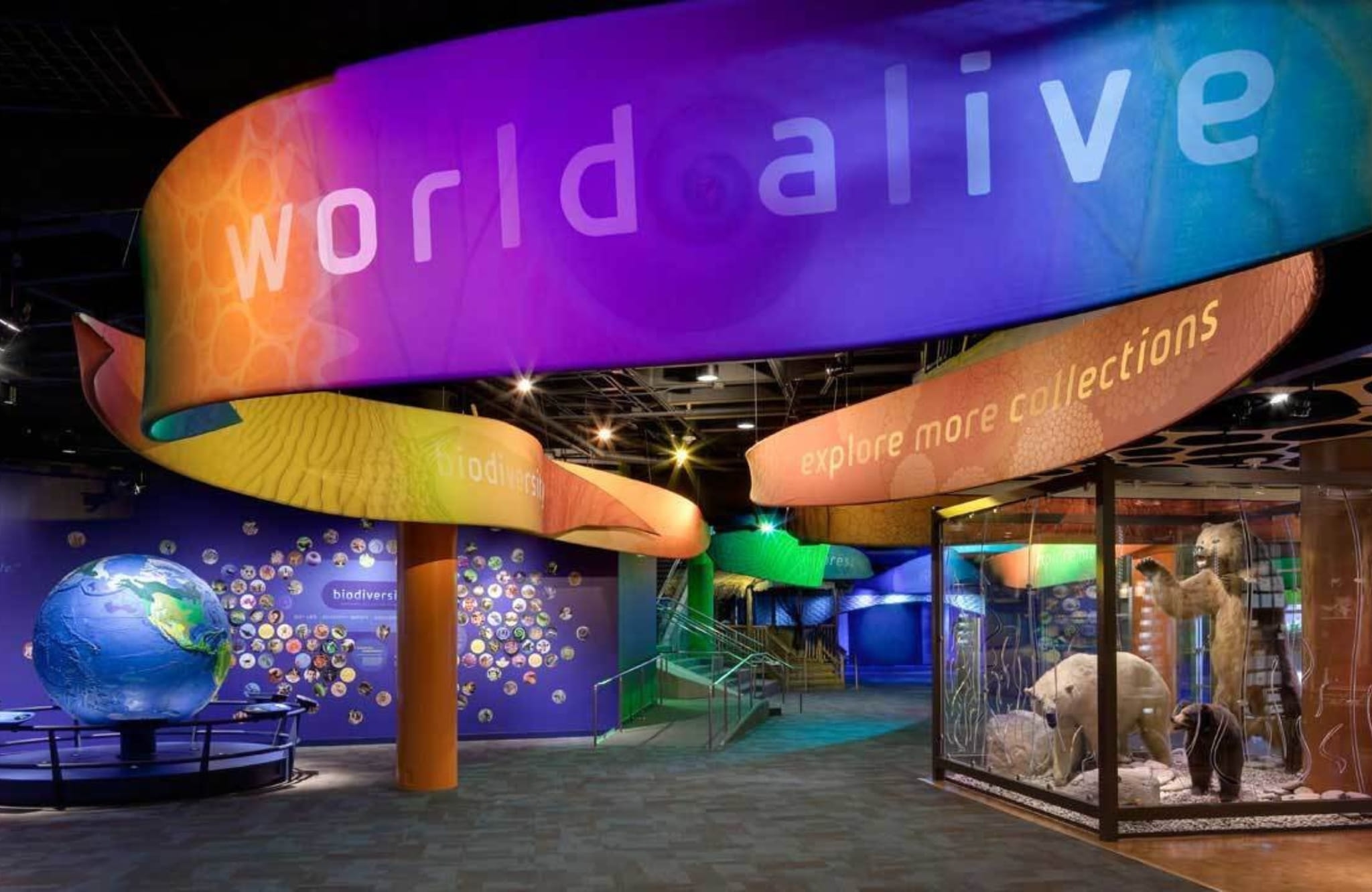 World Aliver Discovery Place Charlotte NC