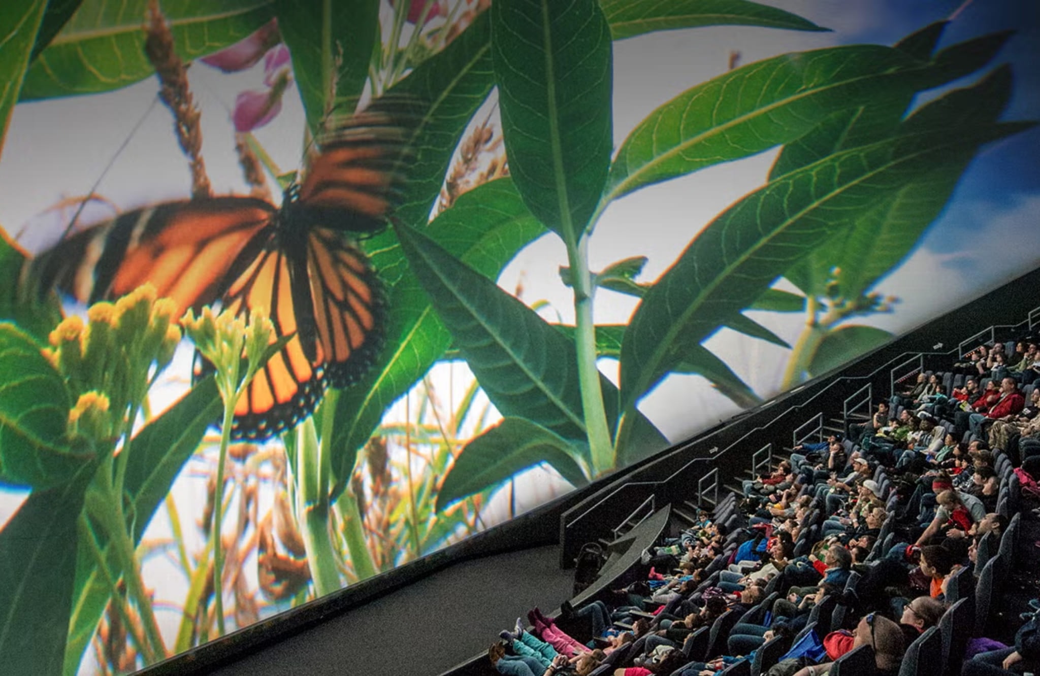 Cleveland Clinic Dome Theater Interior